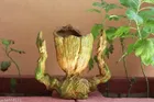 Polyresin Groot Planter Showpiece 