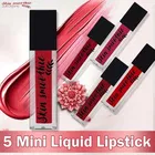 Skin Smoothie Mini Liquid Lipstick 