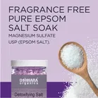 Donnara Organics Detoxifying Lavender Bath Salt Crystal 