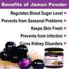 KAYABOOST Jamun Seed Powder 