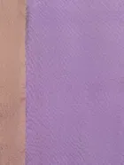 SVB चंदेरी सिल्क साड़ी 