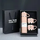 Stainless Steel Vacuum Flask Set with 2 Cups (Multicolor, 500 ml)