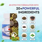 LIVO LIFE DS CAP. 60caps, Helps to maintain digestive health and prevent gas., 