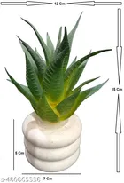 Plastic Artificial Flower With Pot,Multicolour,Set Of 2