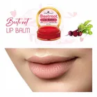 Park Daniel Beetroot Lip Balm 