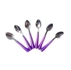 Stainless Steel Spoons (Assorted, Pack of 6)