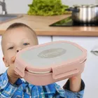 Friends For Life Super Steel Lunch Box 1 Ltr 