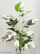 Plastic Artificial Flower 