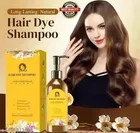 Hair Dye Shampoo, Pack of 1