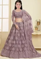 Net Embroidered Semi Stitched Lehenga for Girls 