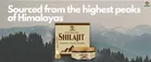 Trivang Pure Himalayan Shilajit Resin, For Immunity & Stamina 