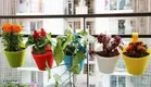 Plastic Hanging Planters 
