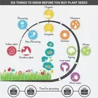 Zello 45 Varieties 2700+ seeds