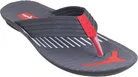 Slippers for Men 