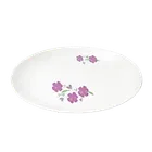 Fair Food Dinner Plate For Regular Use- 1 Pcs