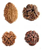 Rudraksha Beads 