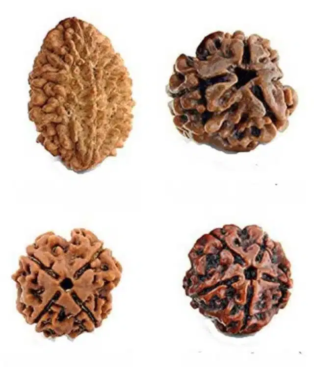 Rudraksha Beads (Pack of 4, Brown)