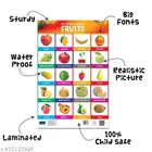 Bookford Publications My small chart Numbers, Fruits & Wild Animals 
