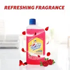 Captain Shine Disinfectant Floor Cleaner 500 ml 