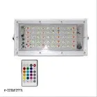 Remote Control Flood Light 