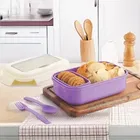 Plastic Lunch Box with Fork & Spoon 
