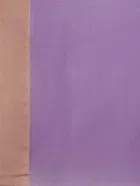 SVB चंदेरी सिल्क साड़ी 