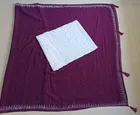 Georgette Embellished Saree for Women 