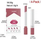Blushis 4 In 1 Little Smoke Matte Waterproof Lipstick 