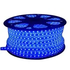 LED Rope Light 
