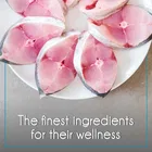 Purepet Adult Cat Food, Ocean Fish, 2.8 kg