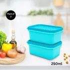 Polka Plastic Container 250ml Set of 2