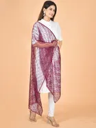 Net Self-Design Dupatta for Women 