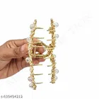 Designer Hair Pins for Women 