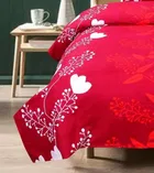 Printed Double Bedsheet with 2 Pillow Covers 