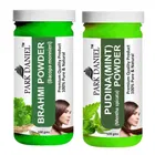 Park Daniel 100% Pure & Natural Brahmi Powder & Pudina Powder 