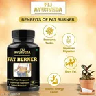 Fij Ayurveda 60 Pcs Fat Burner Capsules