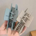 Classic Hair Clips for Women 