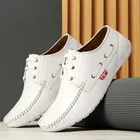 Casual Loafers for Men 