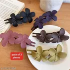 Plastic Hair Clips for Women 