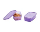 Tweeny Container Set of 2 Assorted