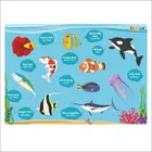 TodFod Wooden Fish Identify Puzzle with Knobs