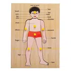 Wooden Body Parts Puzzle Board for Kids (Multicolor)