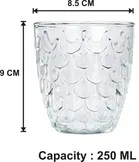 Liquor cum Cocktail Glasses 