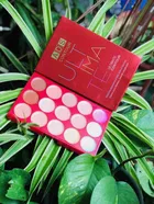 Lenon Concealer 15 Color Cream Concealer 