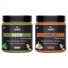 Natural Neem & Garlic Powder for Skin & Hair 