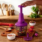 Master Push Chopper [650 ml, Pack of 1]