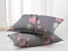 Glace Cotton Printed Fitted Double Bedsheet with Two Pillow Covers 
