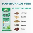 झंडू आमला जूस 1 L