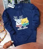 Full Sleeves Sweatshirt for Boys 