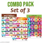 Bookford Publications My small chart Numbers, Fruits & Wild Animals 